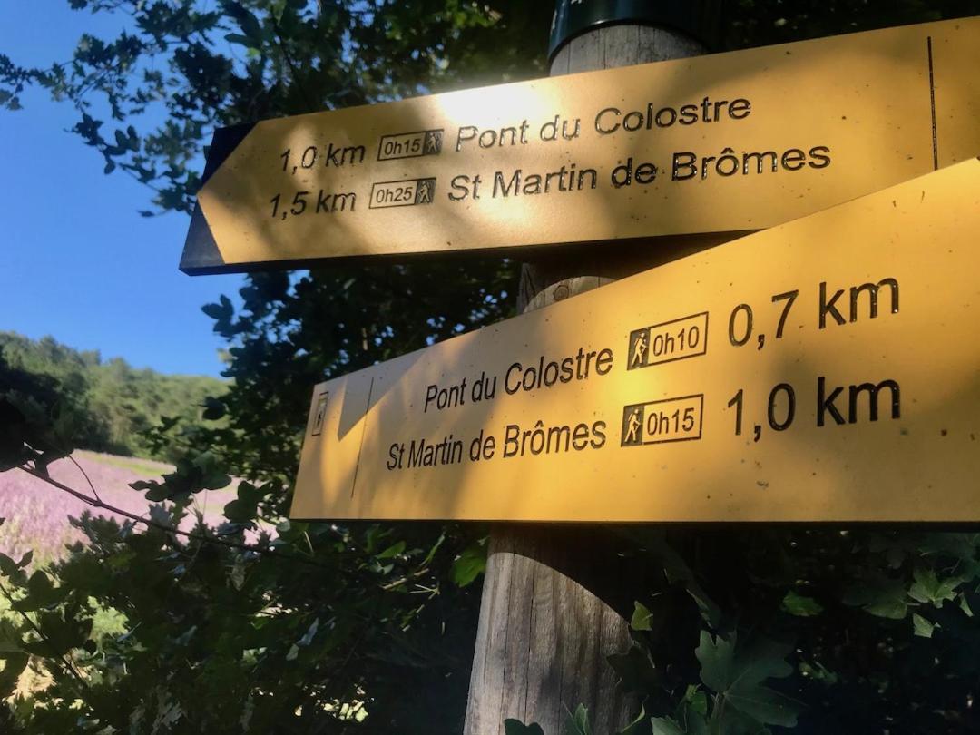 Le Colostre T2 Saint-Martin-de-Bromes Luaran gambar
